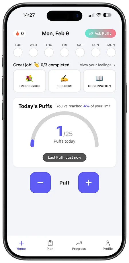 Daily puff counter